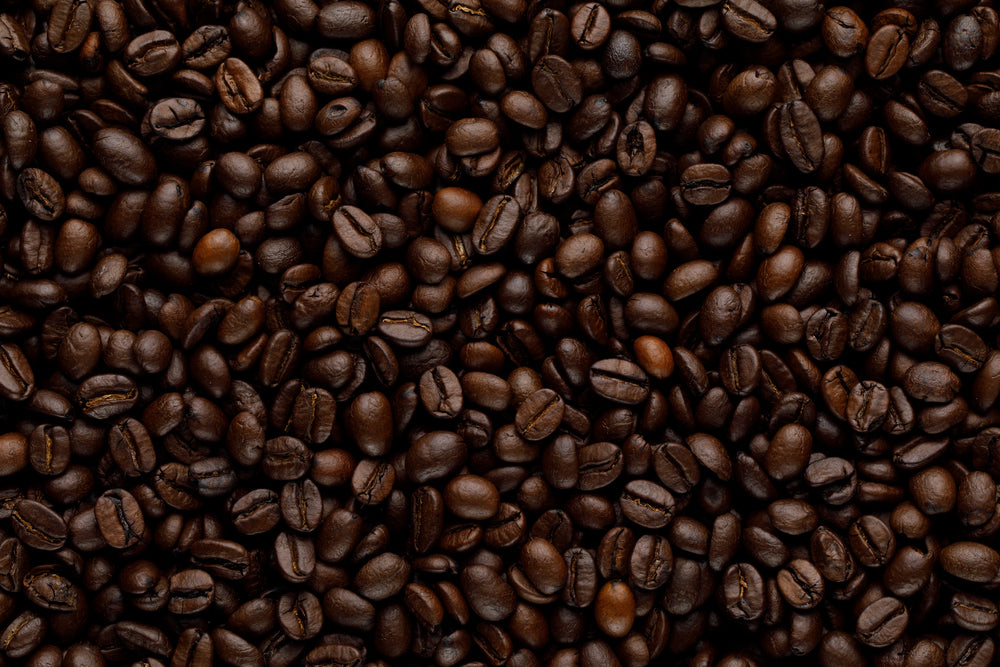 Las Cascadas Dark Roast Coffee Beans - 12 oz