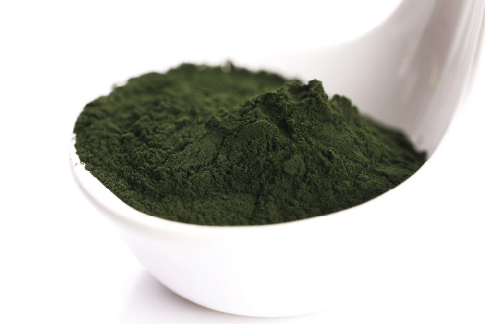 
                  
                    Chlorella Smoothie Powder
                  
                