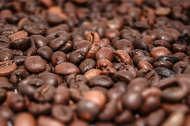Mountain Serenade Medium Roast Coffee Beans